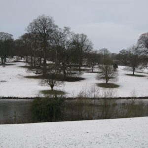 Snow